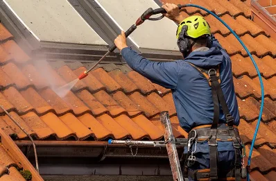 Démoussage et hydrofuge de toiture à Bouranton